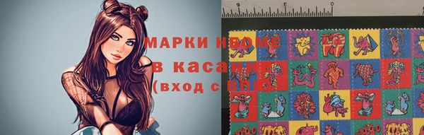 хмурый Пересвет