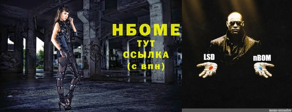 хмурый Пересвет