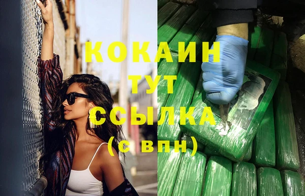 хмурый Пересвет
