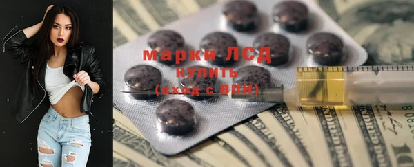 хмурый Осинники