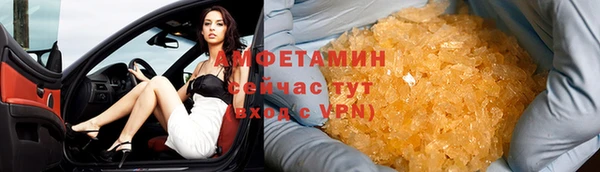 хмурый Пересвет
