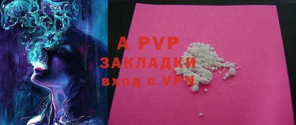 хмурый Пересвет
