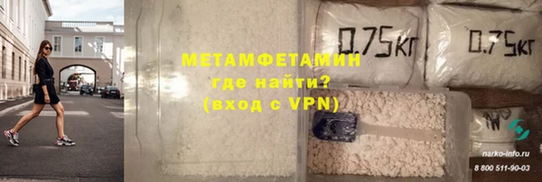 хмурый Пересвет