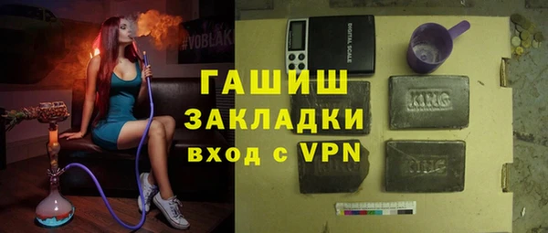 хмурый Пересвет