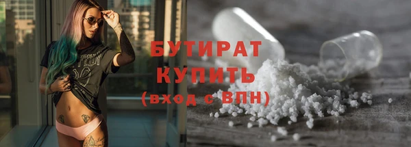 хмурый Пересвет