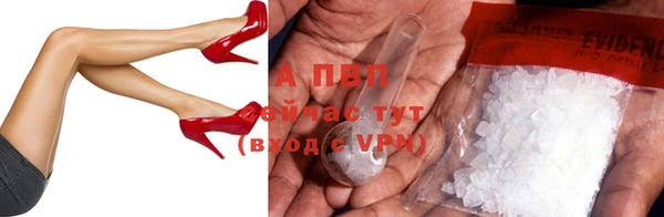 хмурый Пересвет