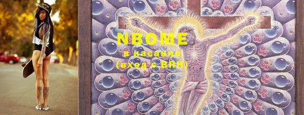 хмурый Пересвет