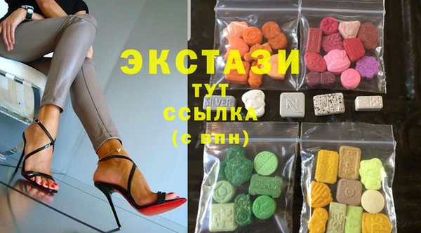 хмурый Пересвет