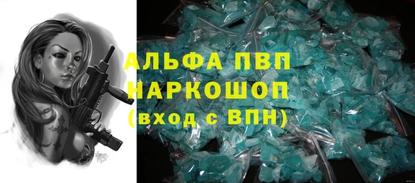 хмурый Пересвет
