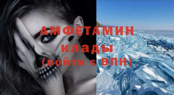хмурый Пересвет