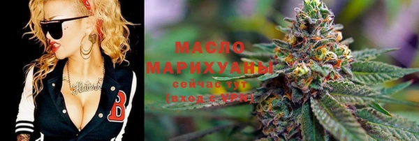 хмурый Пересвет