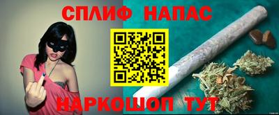 индика Будённовск