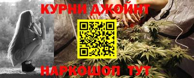 индика Будённовск