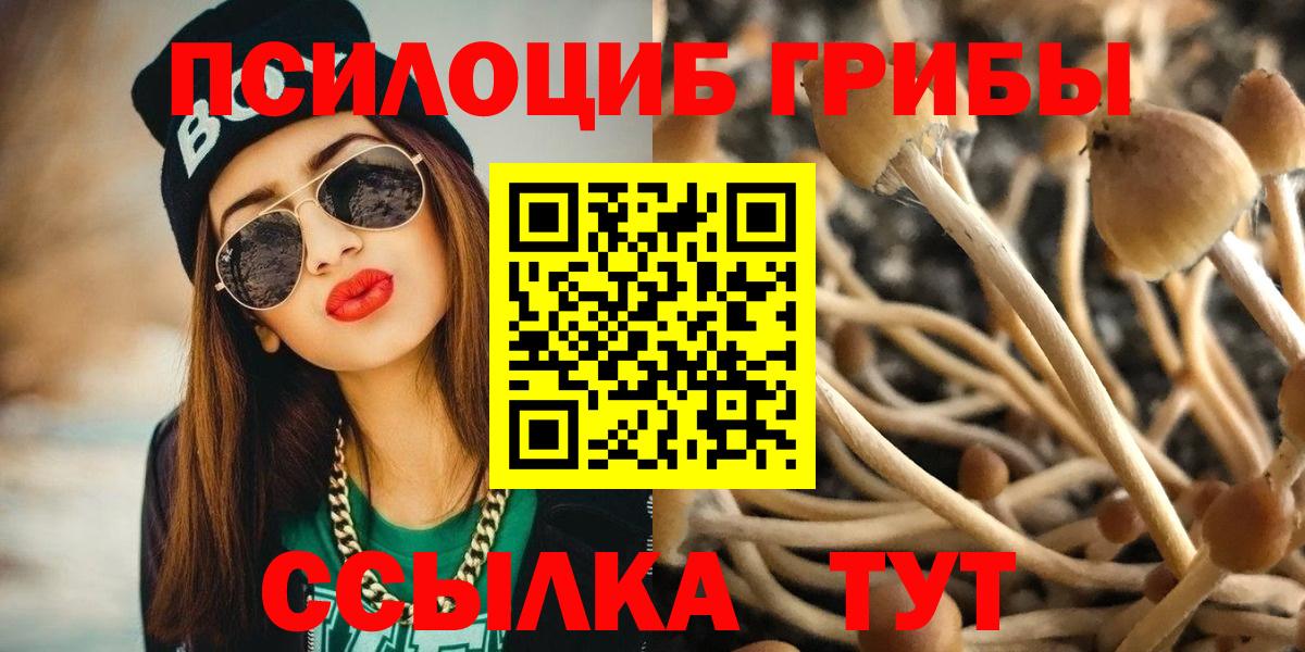 Великие Луки  Галлюциногенные грибы прущие грибы  Псилоцибиновые грибы мухоморы  наркота  Вход с VPN 