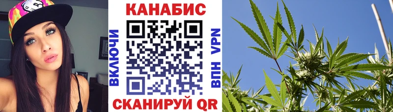 Бошки марихуана Bruce Banner  Великие Луки 