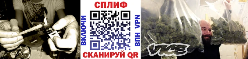 Каннабис Amnesia Великие Луки